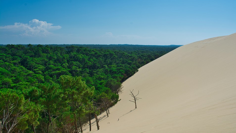 dune du pilat Arcachon