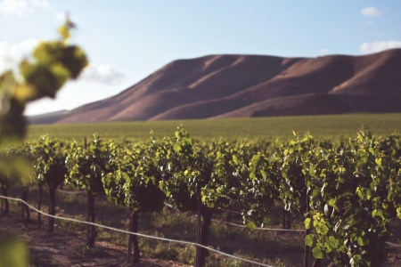 Séjour à bas prix medoc