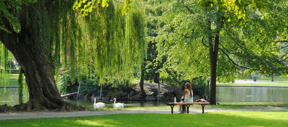 Découvrez le parc Mauresque à Arcachon