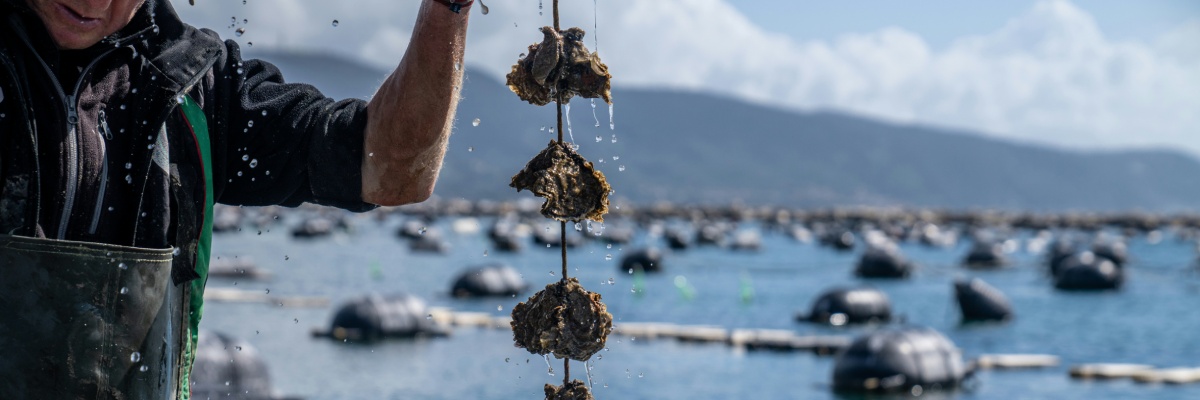 Découvrez les meilleures fermes aquacoles du Médoc